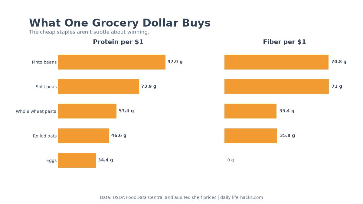 Side-by-side bar charts comparing grams of protein and fiber bought for one dollar across five grocery staples