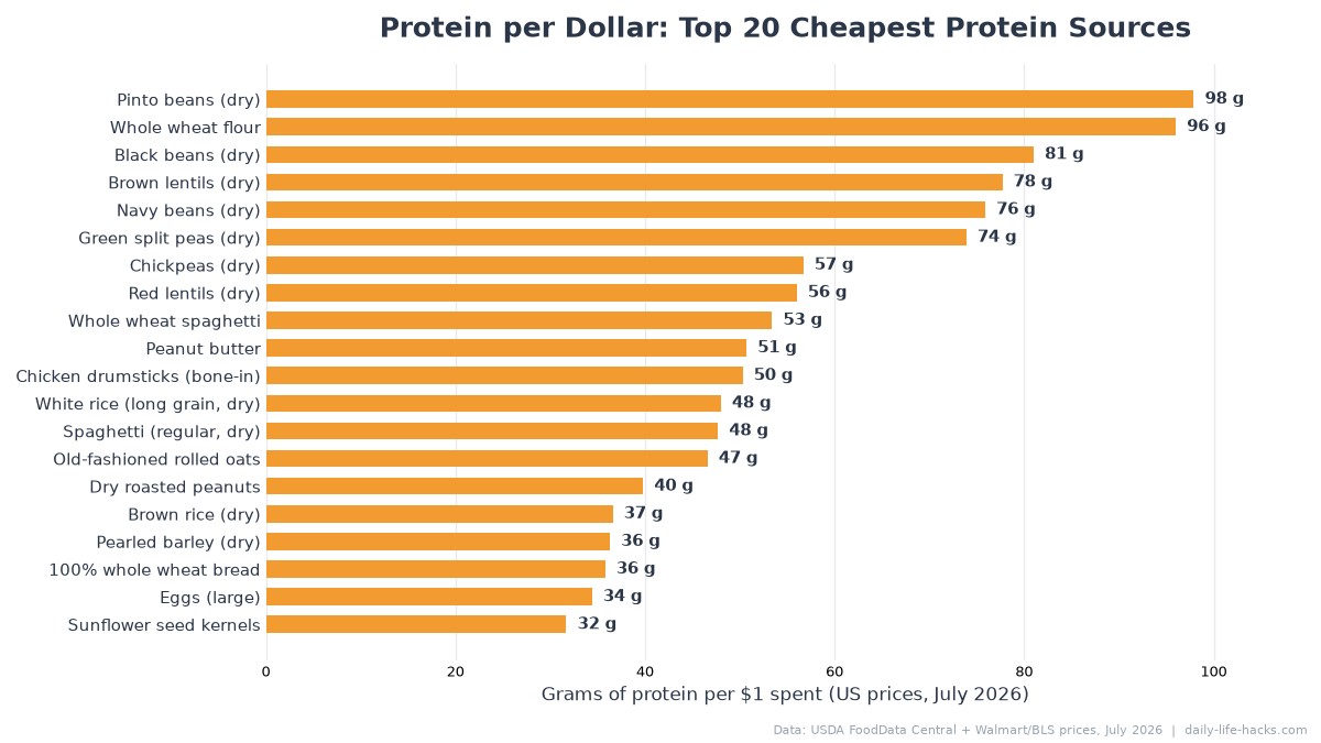 Horizontal bar chart ranking the top 20 cheapest protein sources by grams of protein per dollar